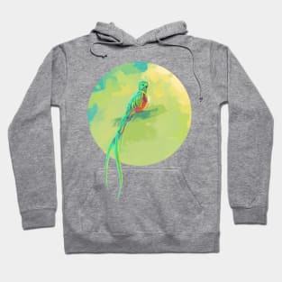 Resplendent Quetzal - digital bird illustration Hoodie